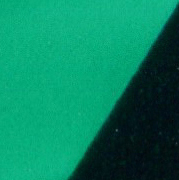 トランスペアレント フタログリーンブルーシェード (8560)