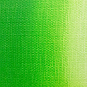 カドミウムグリーンライト 6号 クサカベ専門家用油絵具