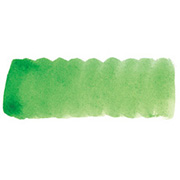 サップグリーン（107）プチカラー固形水彩