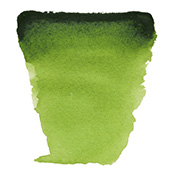 サップグリーン（623）ハーフパン ヴァンゴッホ固形水彩絵具