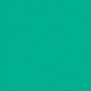 百緑（びゃくろく）(G841) 5号15mlホルベイン不透明水彩絵具 日本色 彩