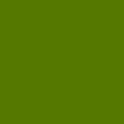 オリーブグリーン(447) 21ml チューブ Ｗ&Ｎ油絵具
