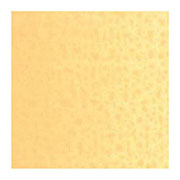 ネープルスイエローレッド #224 6号20ml×3本 ヴァンゴッホ油絵具