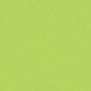 ブリリアントイエローグリーン（3023） 300ml  リキテックス・レギュラー