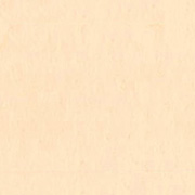 パステルオレンジ(181) 20mlチューブ  ターナー・アクリルガッシュ