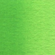 パーマネントグリーンNO.1  2号5ml  ホルベイン水彩絵具
