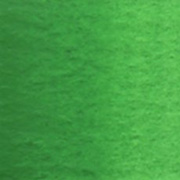 パーマネントグリーンNO.2 (W067)  2号5ml  ホルベイン水彩絵具