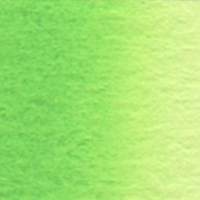 カドミウムグリーンペール (W069) 2号5ml  ホルベイン水彩絵具