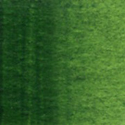 サップグリーン 2号5ml  ホルベイン水彩絵具