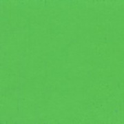 パーマネントグリーンライト(G541) 5号15mlホルベイン不透明水彩絵具