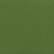 オリーブグリーン(G546) 5号15mlホルベイン不透明水彩絵具