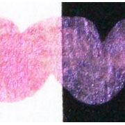 ピンク (014) シャインパール クサカベ固形水彩