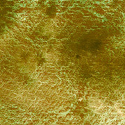 ジオグラフィック(22) 4号10ml クサカベ・ハルモニア分離水彩絵具