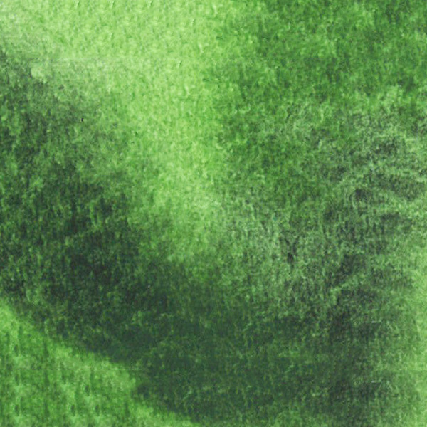 チャコールティーグリーン (05) 4号10ml  クサカベ チャコール 透明水彩絵具