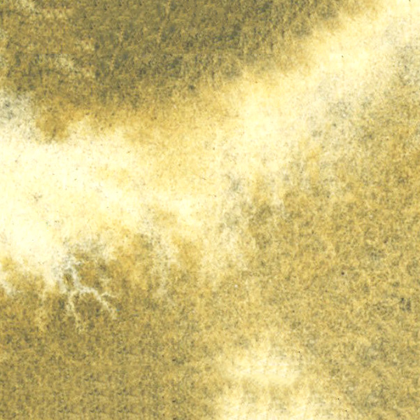 チャコールウィロー (06) 4号10ml  クサカベ チャコール 透明水彩絵具