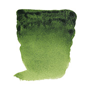 サップグリーン (623) ハーフパン×2個 レンブラント固形水彩絵具