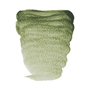 グリーンアース (629) ハーフパン×2個 レンブラント固形水彩絵具