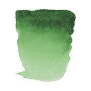 パーマネントグリーン (662) ハーフパン×2個 レンブラント固形水彩絵具