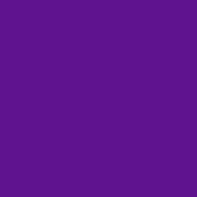 藤紫 No.53