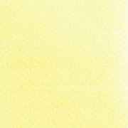 ブライトイエローグリーン ティント（26808） 9ml パンパステル