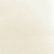 ローアンバーティント（27808） 9ml パンパステル