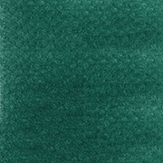 フタログリーン エクストラダーク（26201） 9ml パンパステル