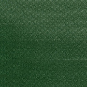 クロームオキサイドグリーン エクストラダーク（26601） 9ml パンパステル