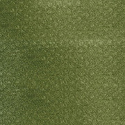 ブライトイエローグリーン エクストラダーク（26801） 9ml パンパステル