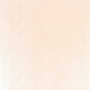 バーミリオン ティント(23108) 9ml パンパステル