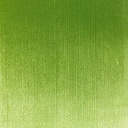 イエロー グリーン シェード（26903） 9ml パンパステル